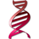 HWG確認！羅馬諾
：加拉塔薩雷與那不勒斯簽署奧斯梅恩轉會文件